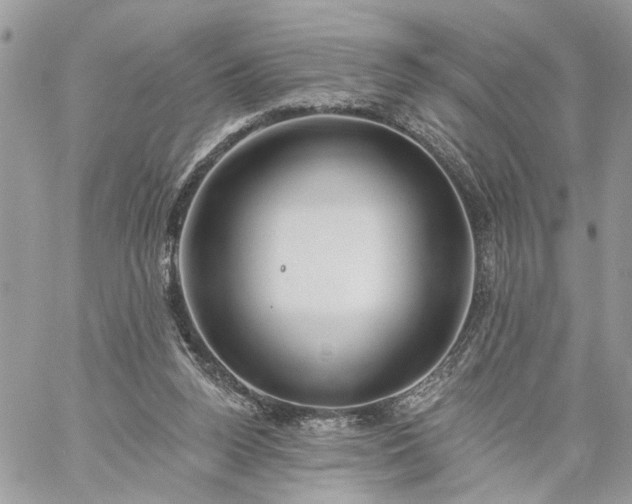 X0000059100160200510172129