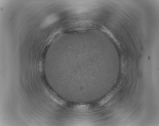 X0000059100161200510172129