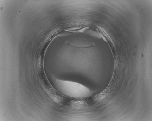 X0000059100163200510172129