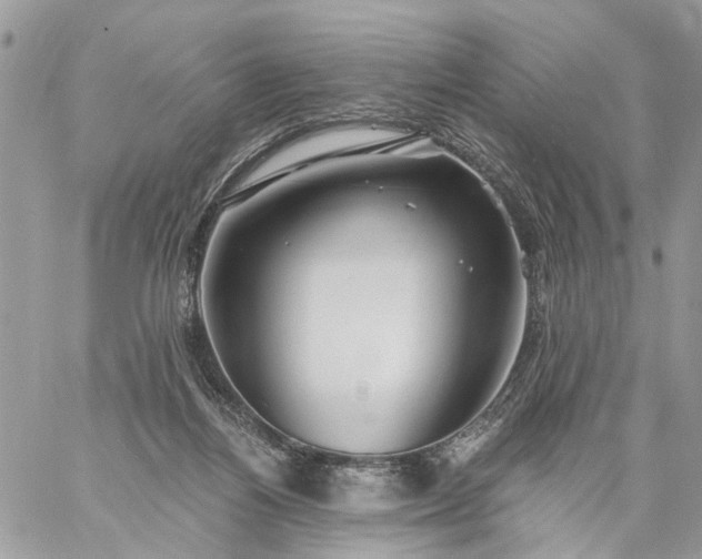 X0000059100164200510172129