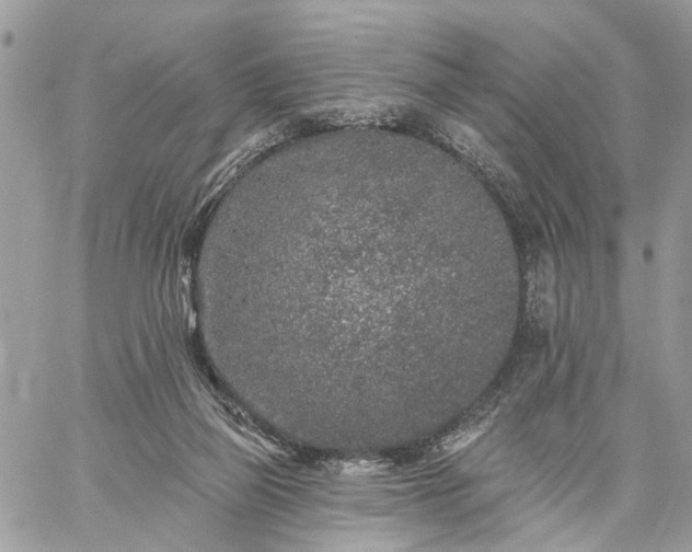 X0000059100165200510172129