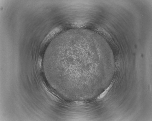 X0000059100166200510172129