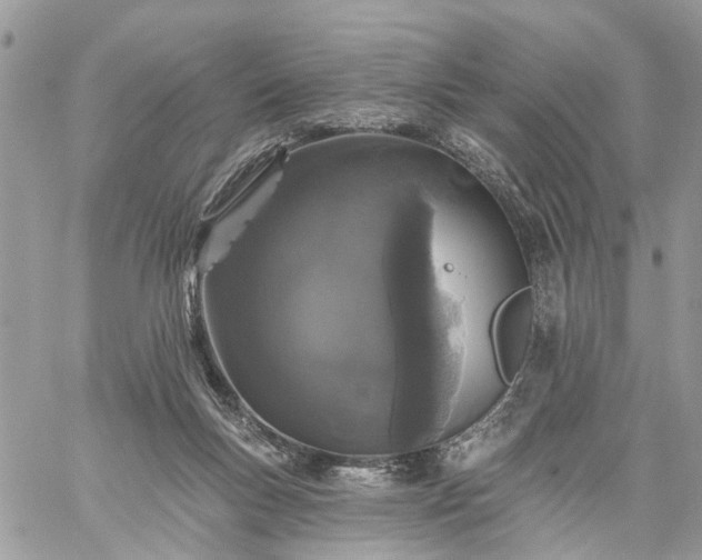 X0000059100167200510172129