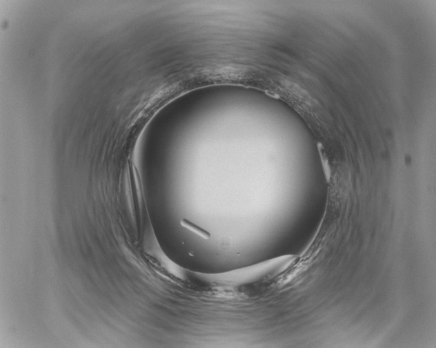 X0000059100168200510172129