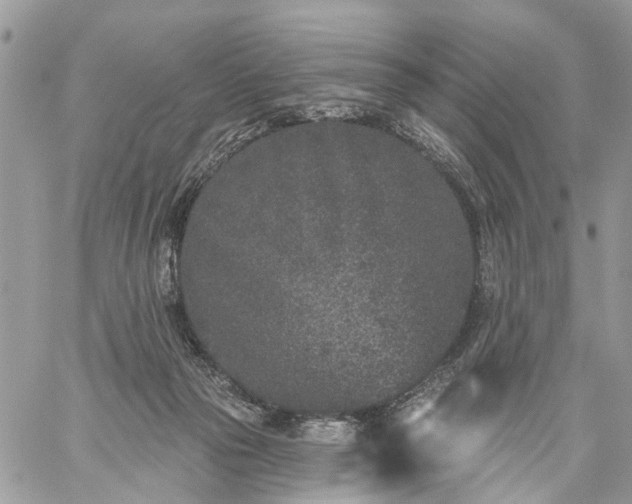 X0000059100169200510172129