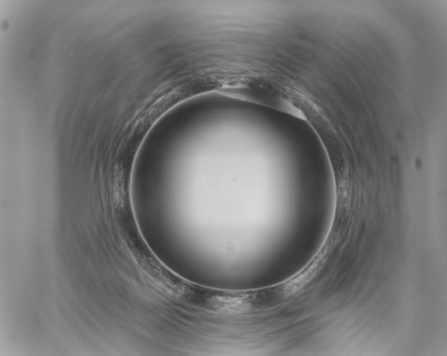 X0000059100170200510172129