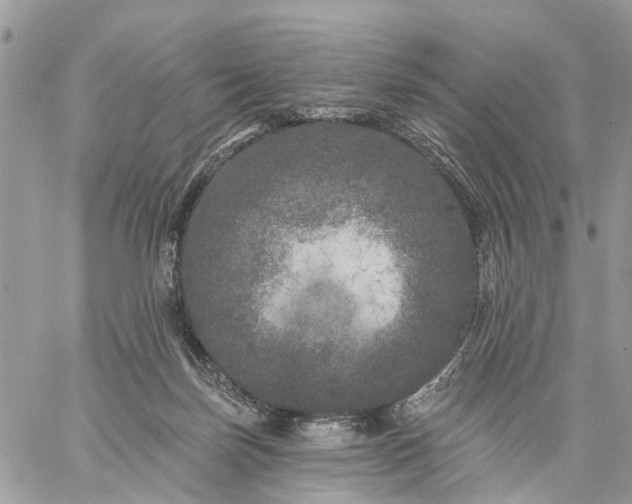 X0000059100171200510172129