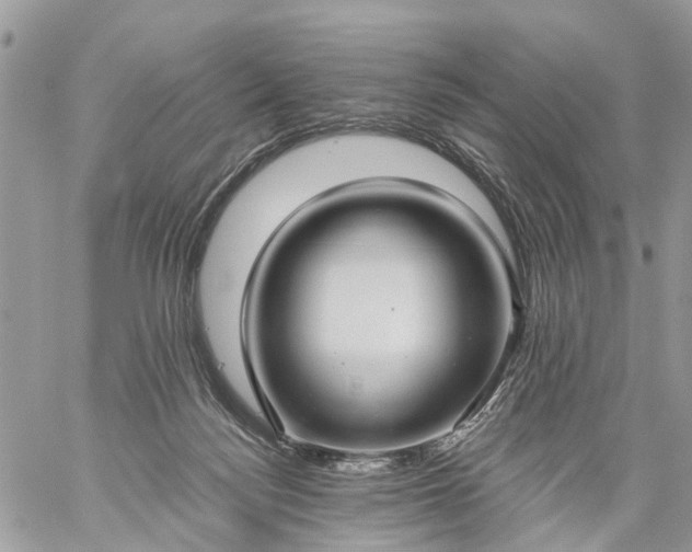 X0000059100172200510172129