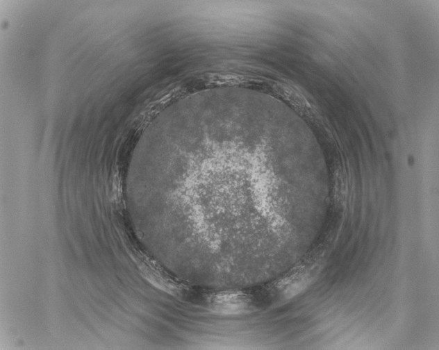 X0000059100173200510172129