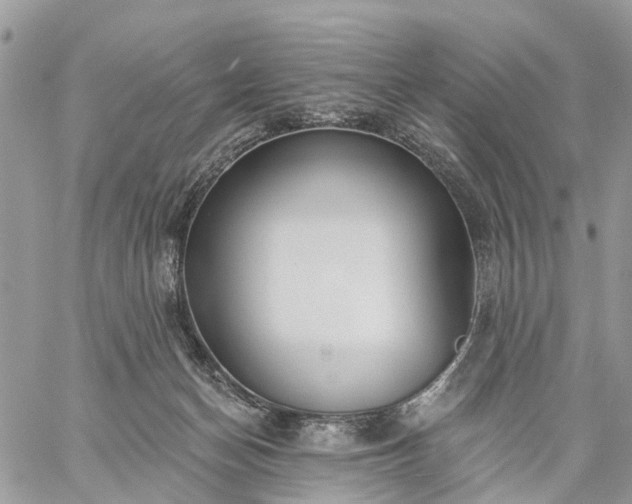 X0000059100174200510172129