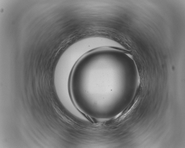 X0000059100175200510172129