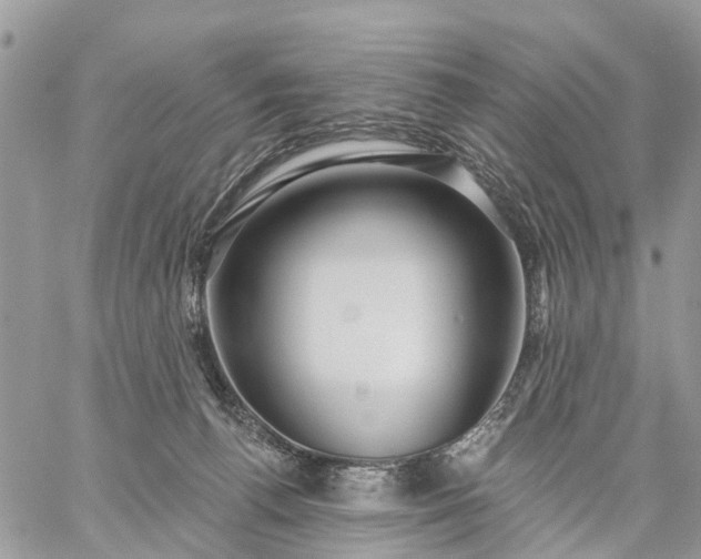 X0000059100176200510172129