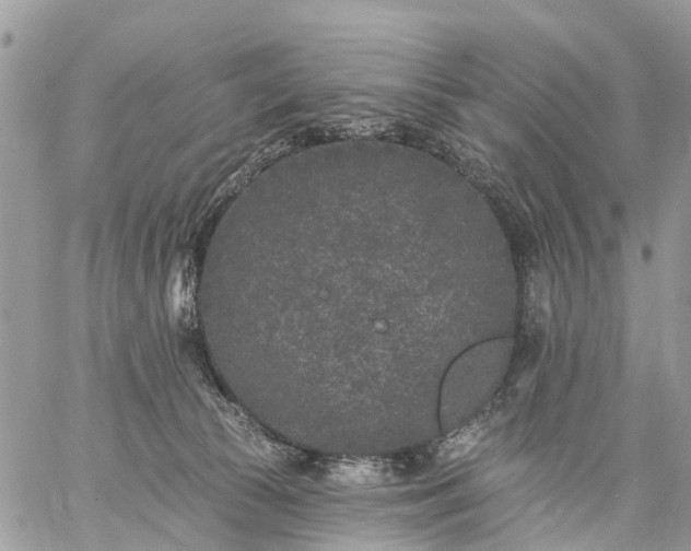 X0000059100177200510172129