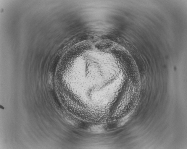 X0000059100178200510172129