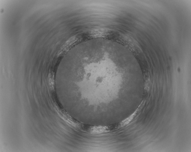 X0000059100179200510172129