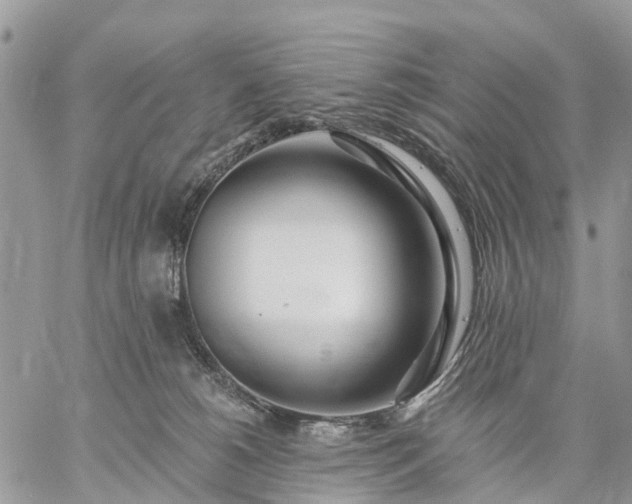 X0000059100180200510172129