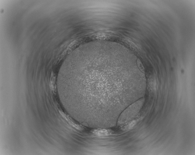 X0000059100181200510172129