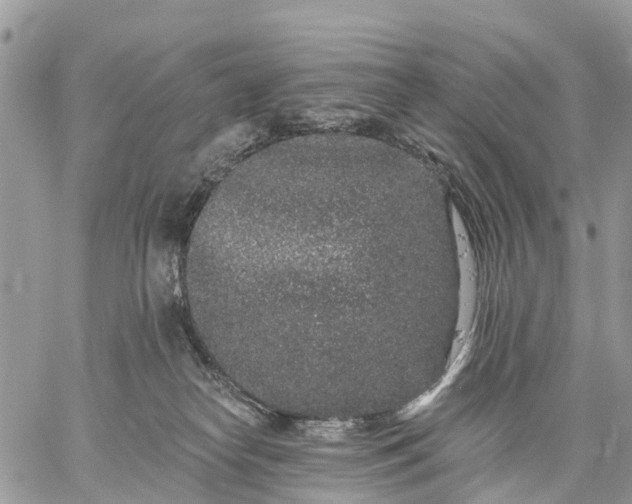 X0000059100182200510172129