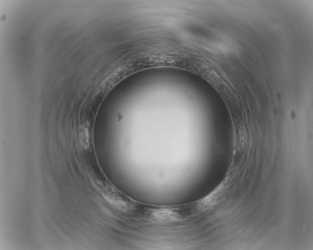 X0000059100183200510172129