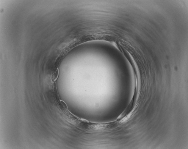 X0000059100184200510172129