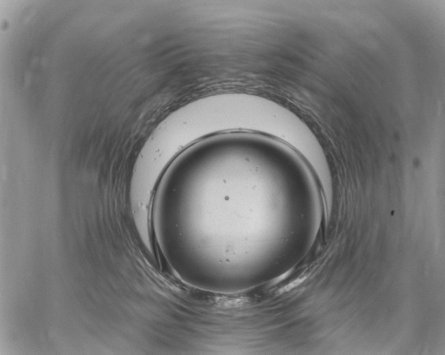 X0000059100185200510172129