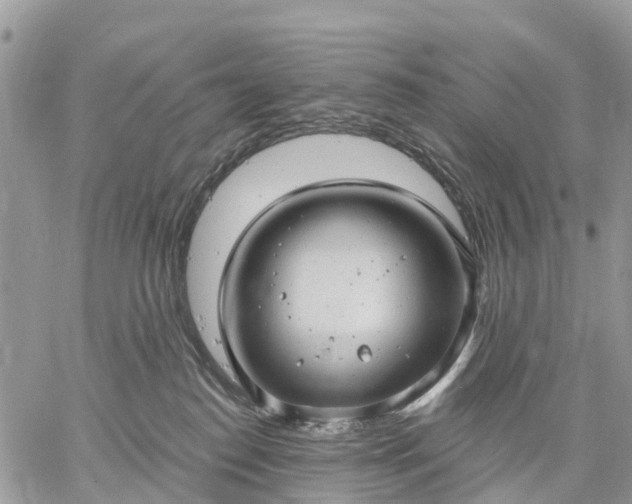 X0000059100186200510172129