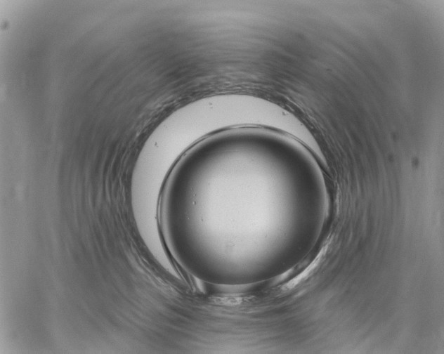 X0000059100187200510172129