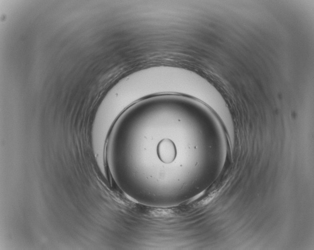 X0000059100189200510172129