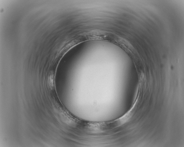 X0000059100190200510172129