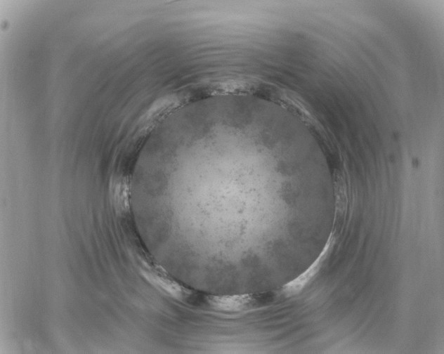 X0000059100191200510172129