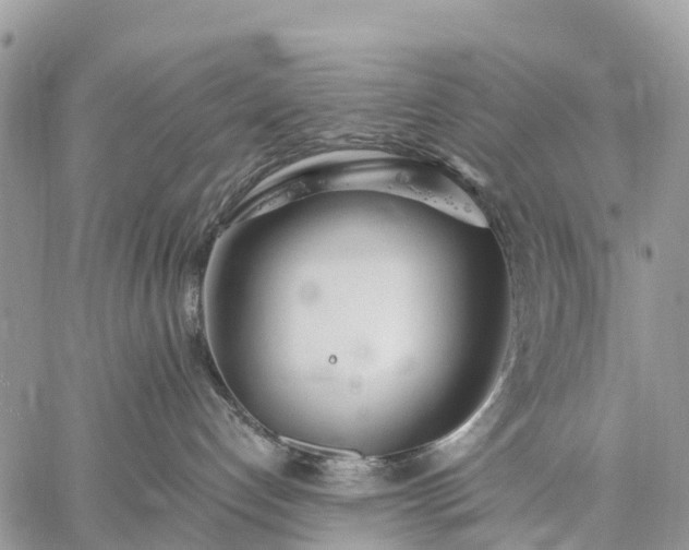 X0000059100192200510172129