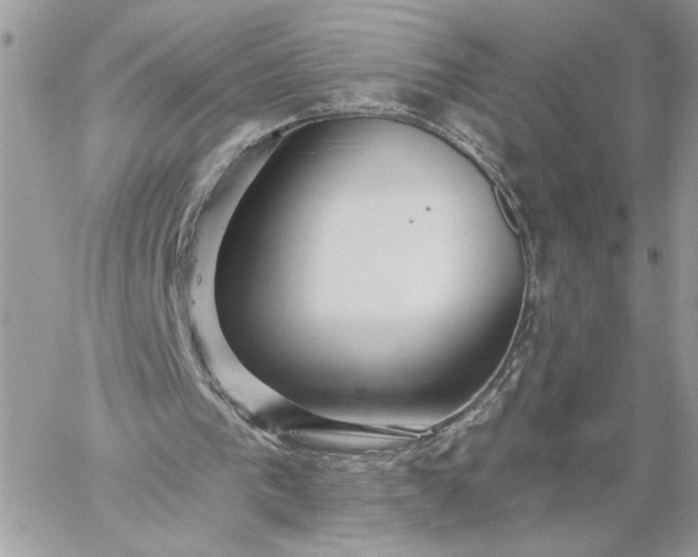 X0000059100193200510172128