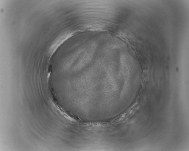 X0000059100194200510172128