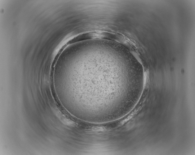 X0000059100195200510172128