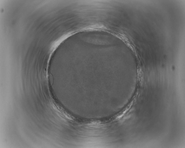 X0000059100196200510172128