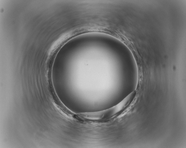 X0000059100197200510172128