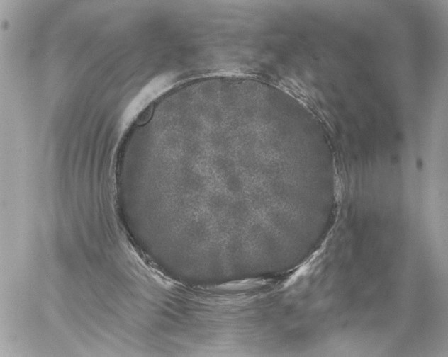 X0000059100198200510172128