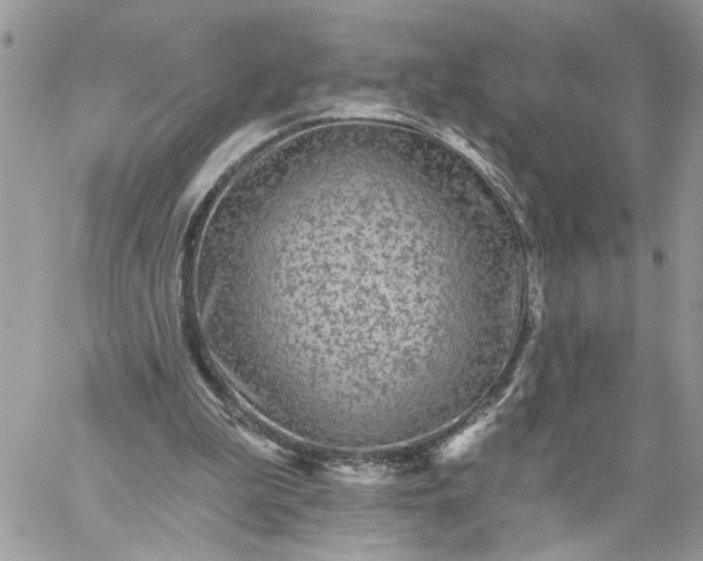 X0000059100199200510172128