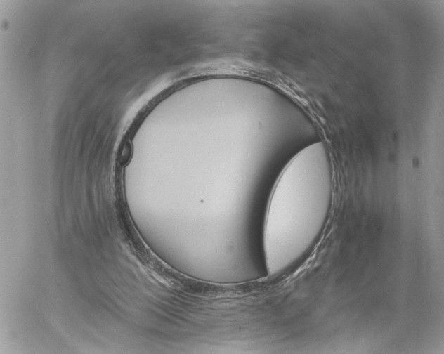 X0000059100200200510172128