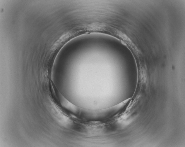 X0000059100201200510172128