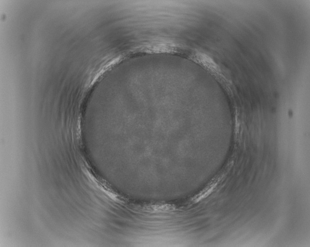 X0000059100202200510172128