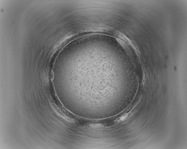 X0000059100203200510172128