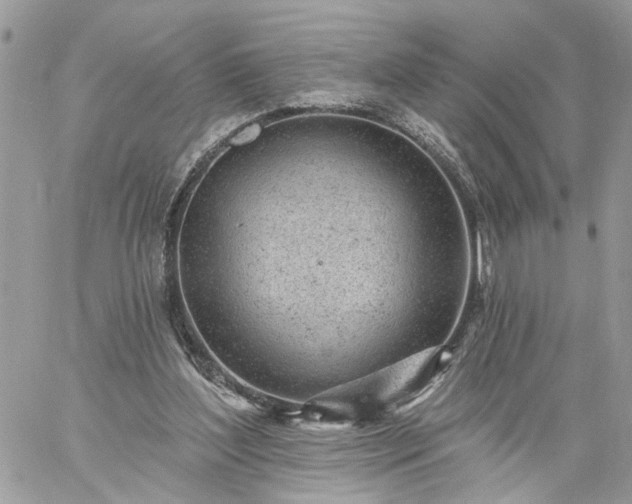 X0000059100204200510172128