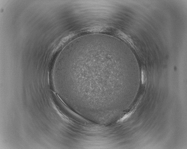 X0000059100205200510172128