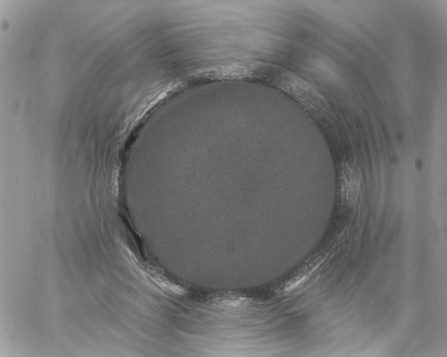 X0000059100206200510172128