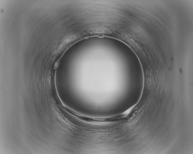 X0000059100207200510172128