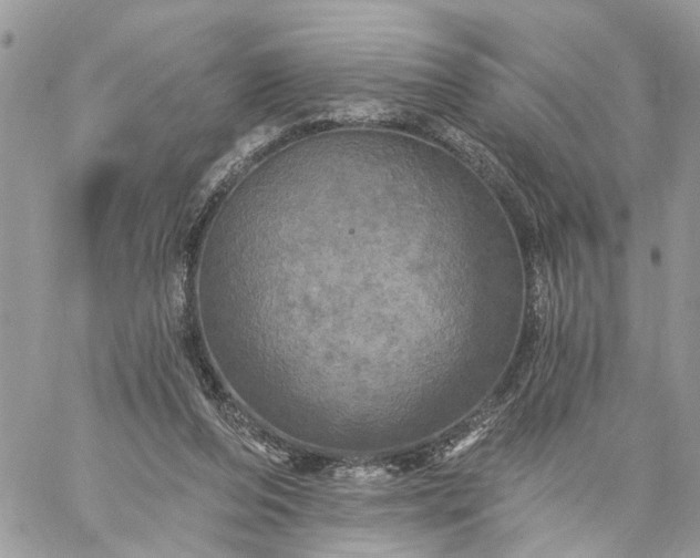 X0000059100208200510172128