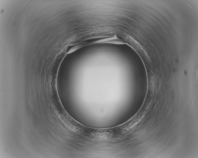 X0000059100209200510172128