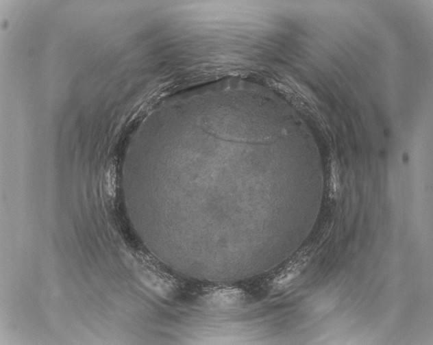 X0000059100210200510172128