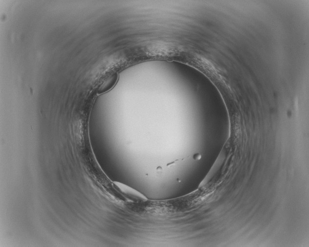 X0000059100211200510172128